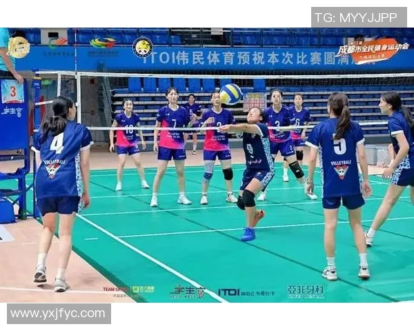 成都排球队创历史新高排球速度排名引发热议