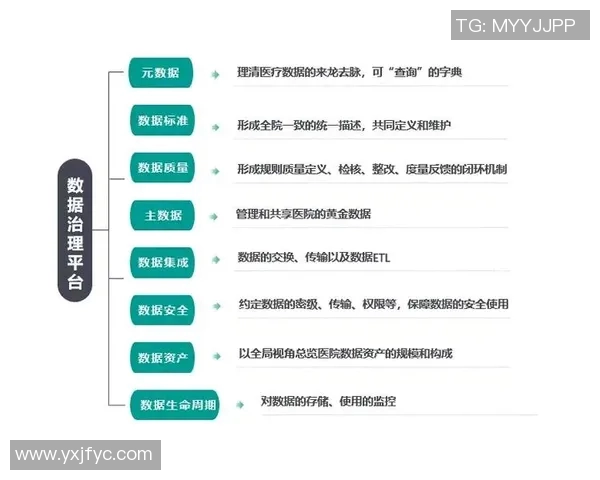 杭州篮球队比赛经验分析与数据洞察探讨