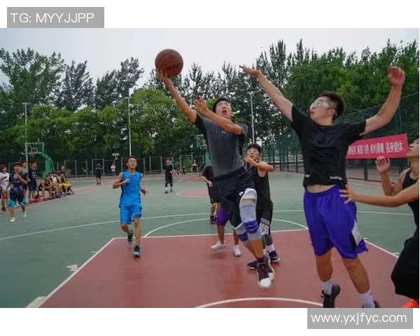 成都排球队的阵地战解析与战术布局深度剖析