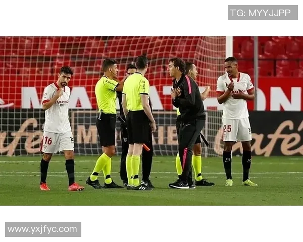 西安排球队团队协作引发热议球迷对战术配合的看法分歧明显