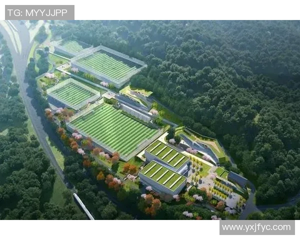 重庆足球队的节奏解析与发展展望：从历史到未来的全面探讨