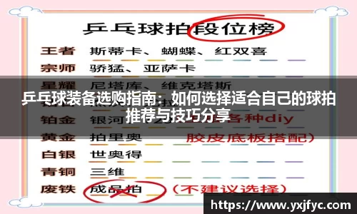 AMG新葡萄8883
