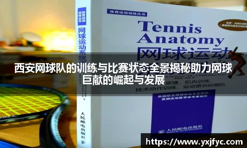 AMG新葡萄8883