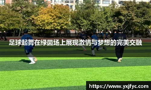 足球起舞在绿茵场上展现激情与梦想的完美交融